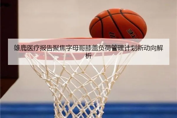 雄鹿医疗报告聚焦字母哥膝盖负荷管理计划新动向解析